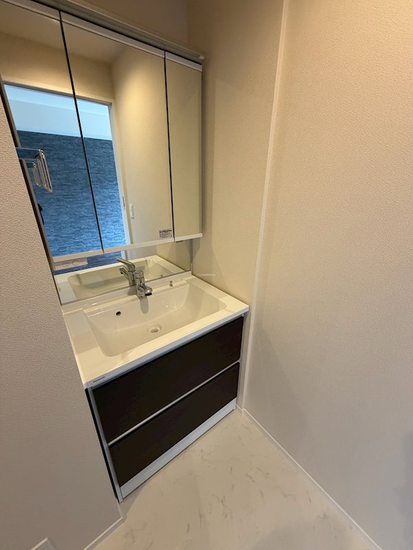 Ｍａｉｓｏｎ　Ｖｅｒｔｕ 洗面所