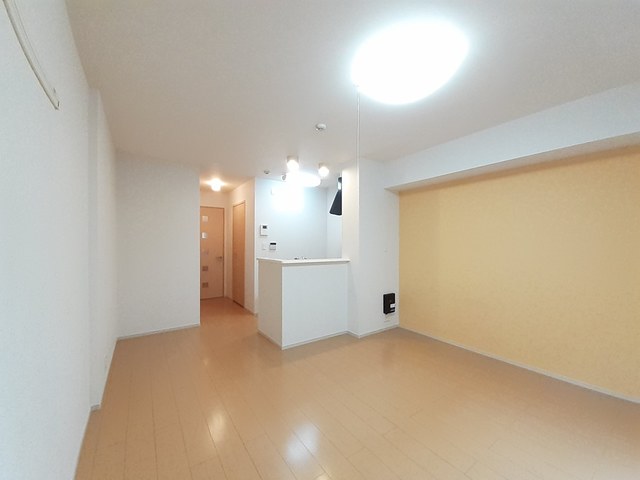 アンバー その他1