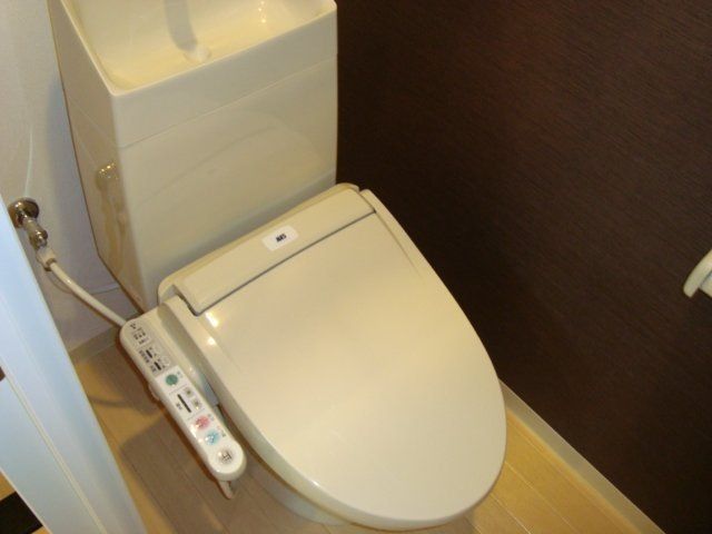 フォーマルハウト その他3