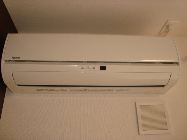 フォーマルハウト その他11