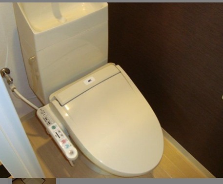 フォーマルハウト その他1