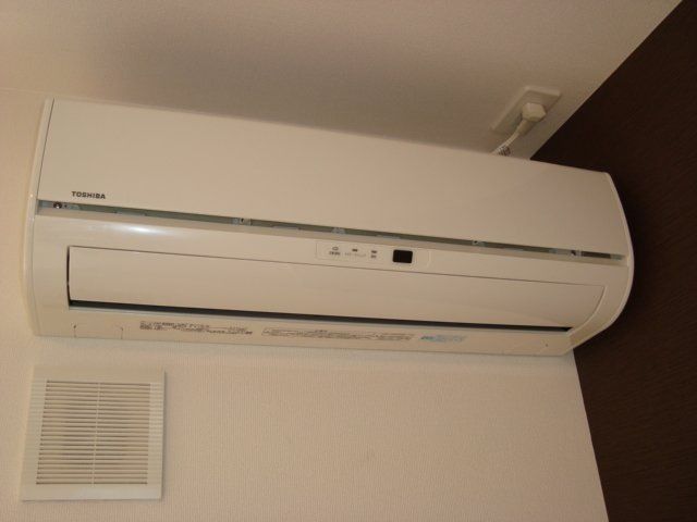 フォーマルハウト その他4