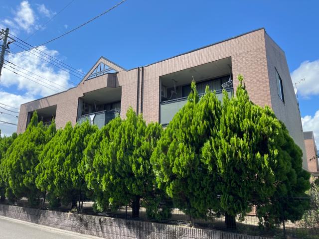 ストラーダⅡ 外観