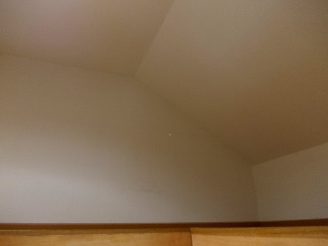 サンライト その他2