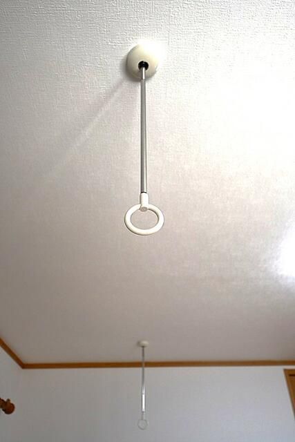 ロイヤル・ナカムラⅡ その他7