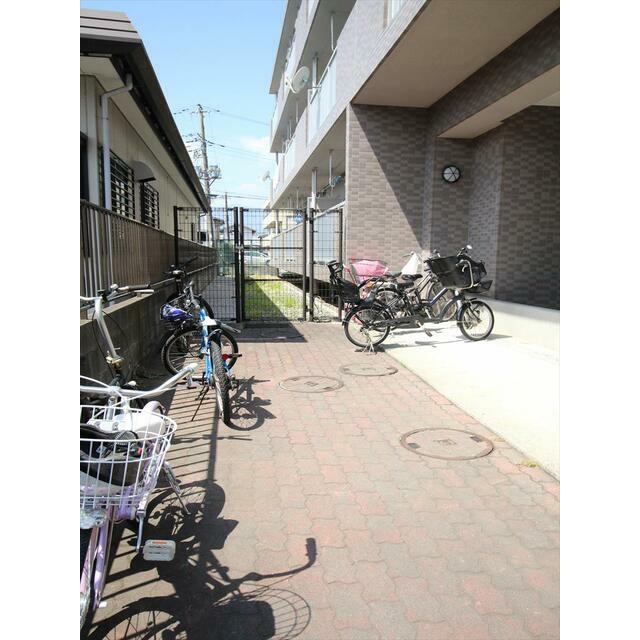 ヴァン・クレール その他25