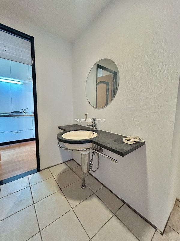 セレステディオーサ  その他1