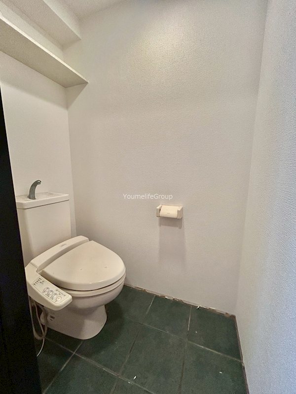 セレステディオーサ  その他2