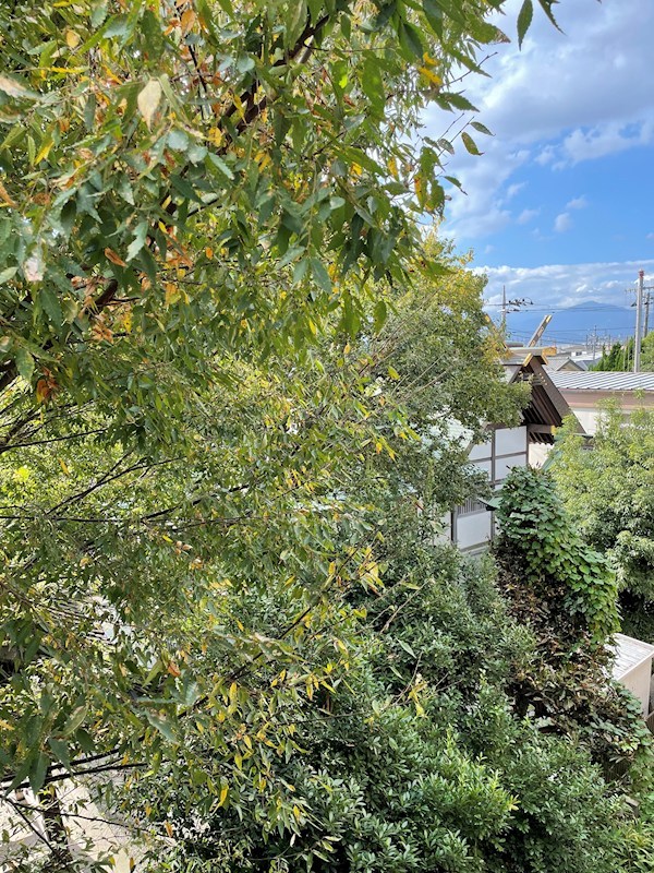 湘南absⅠ その他5