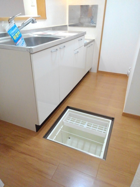 パーシモンⅠ その他5