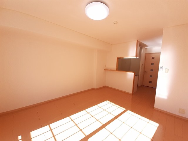 エル・アルバ その他7