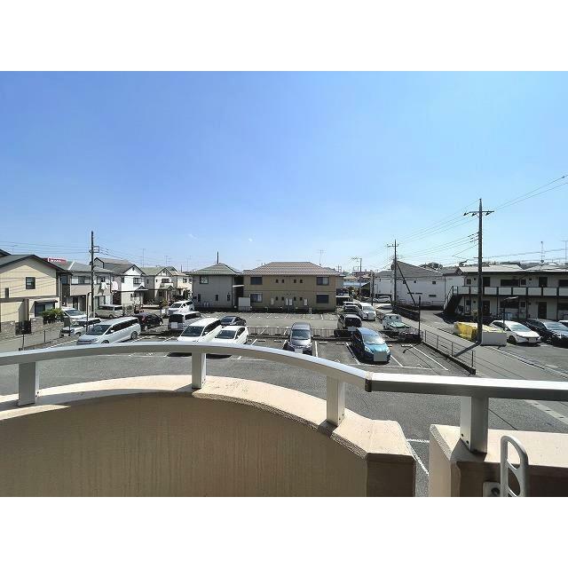 ブロメリア その他1