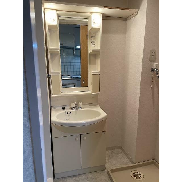 ブロメリア その他2