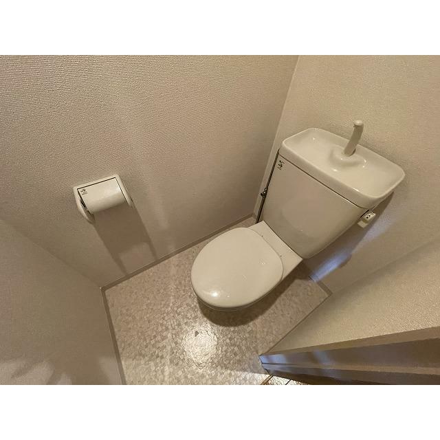 ブロメリア その他3