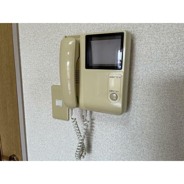 ブロメリア その他4