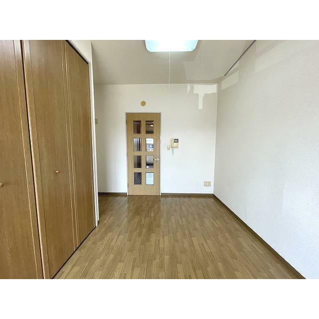 ブロメリア その他5