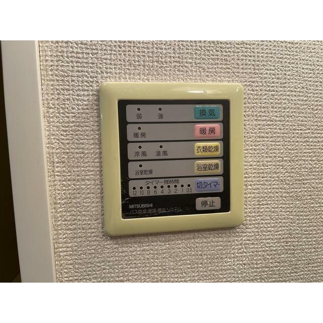 ブロメリア その他10