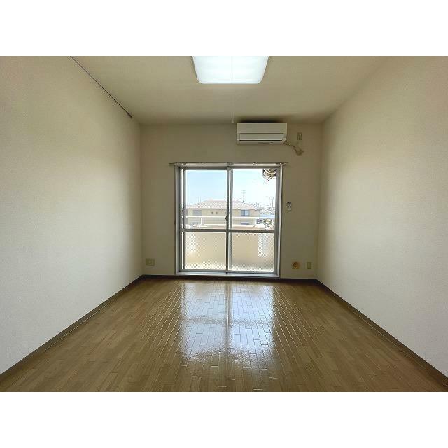 ブロメリア リビング