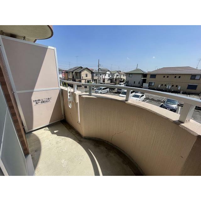 ブロメリア その他12