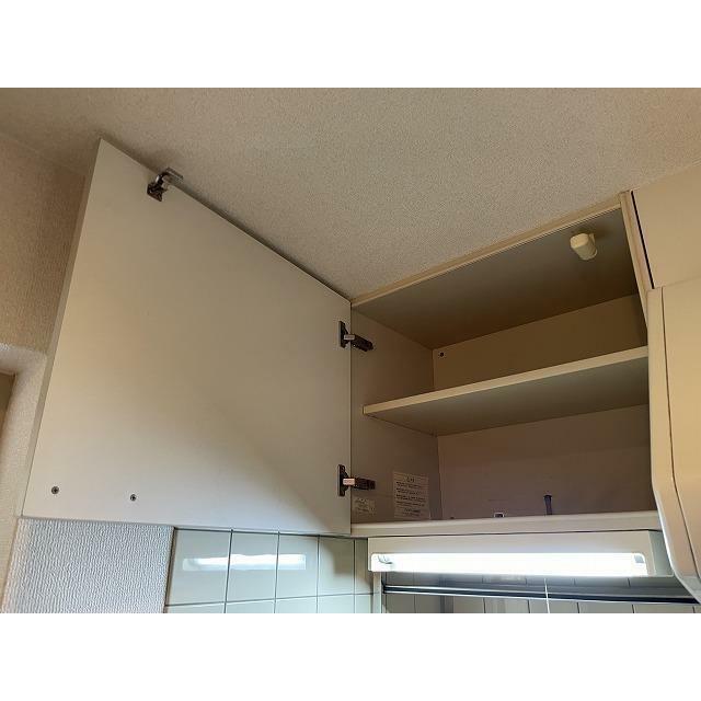 ブロメリア その他13