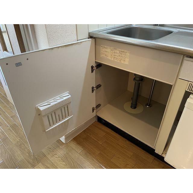 ブロメリア その他14