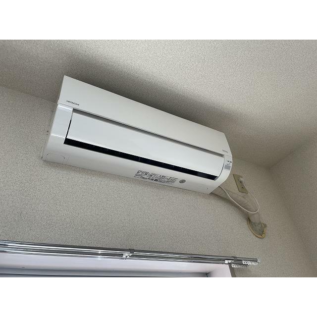 ブロメリア その他15