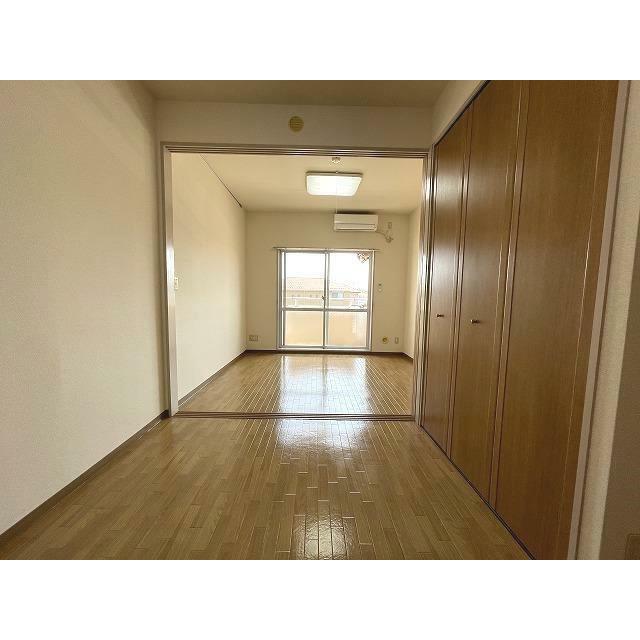 ブロメリア その他16