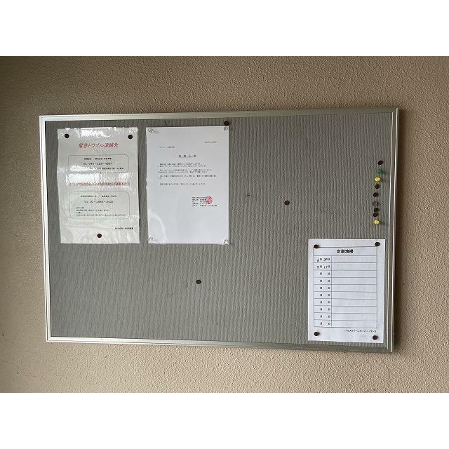 ブロメリア その他19