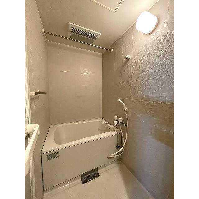 ブロメリア 風呂画像