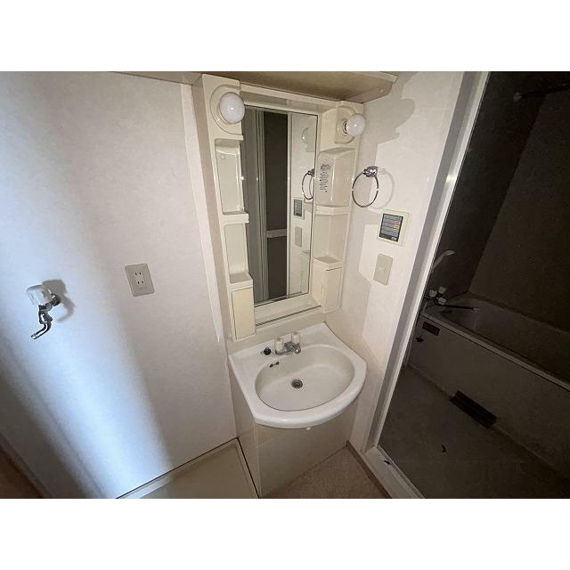 ブロメリア その他2