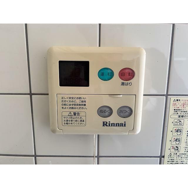 ブロメリア その他4