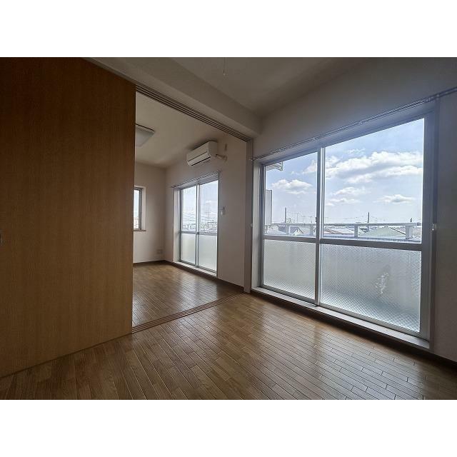 ブロメリア その他5