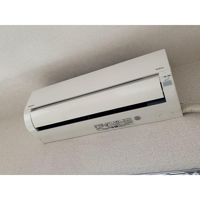 ブロメリア その他7