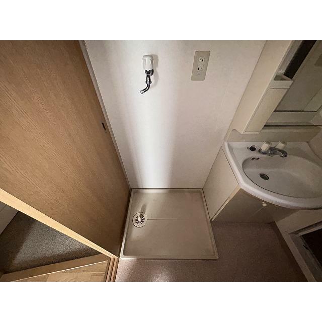 ブロメリア その他9