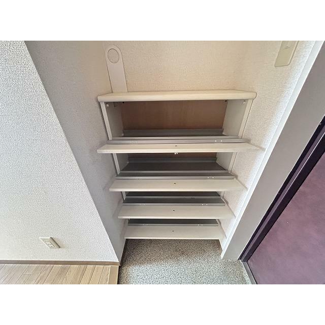 ブロメリア その他11