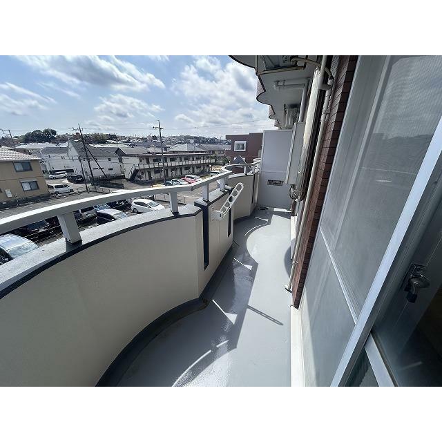 ブロメリア その他14