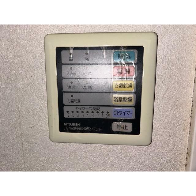 ブロメリア その他14