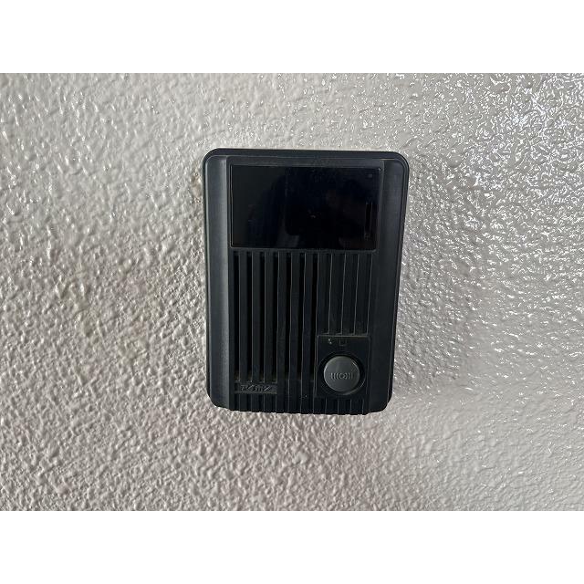 ブロメリア その他15