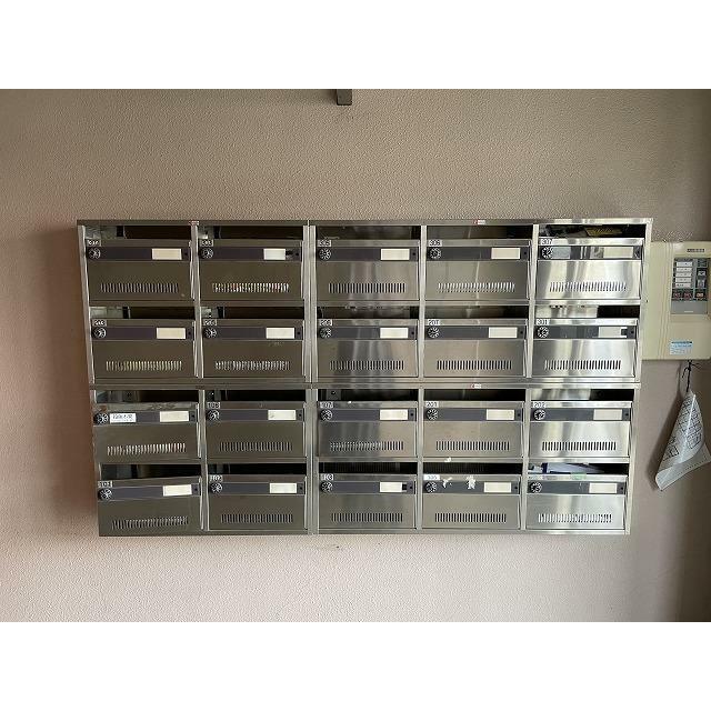 ブロメリア その他17