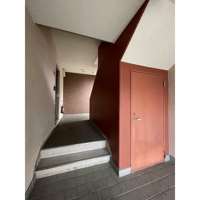 ブロメリア その他20