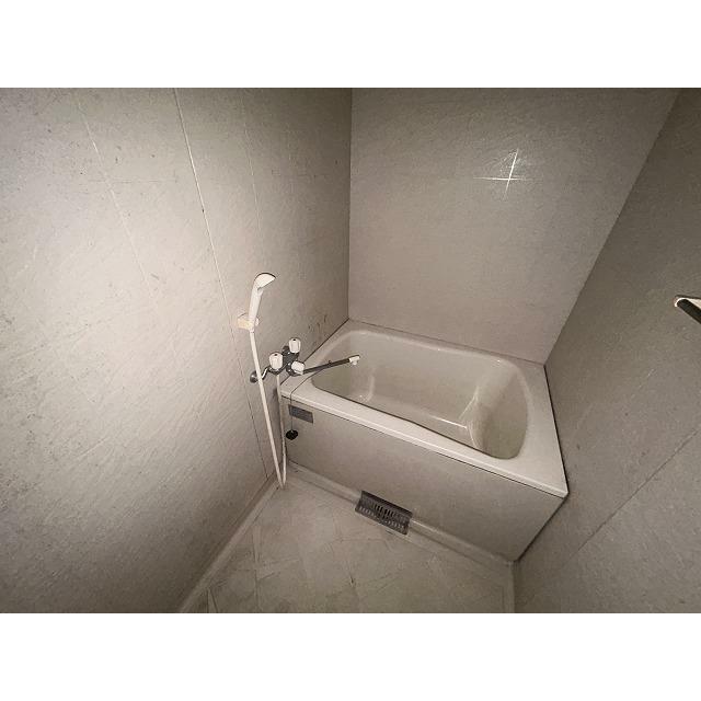 ブロメリア 風呂画像