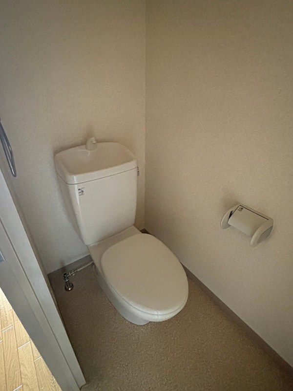 ガーネット その他3