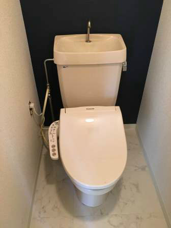 ハイドランジア その他1