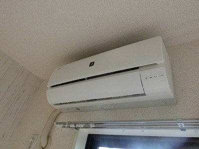 ハイドランジア その他6