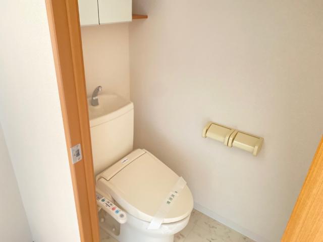 コンテント その他6