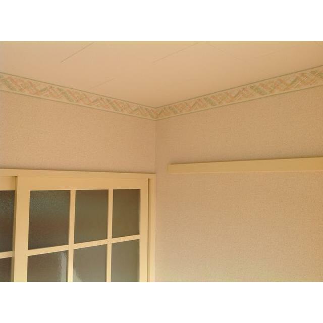 チトセヤメゾン その他9