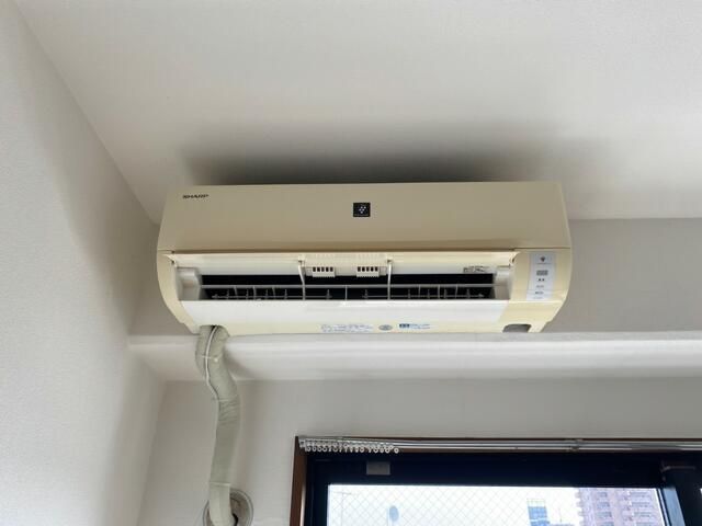 水引８８ その他4