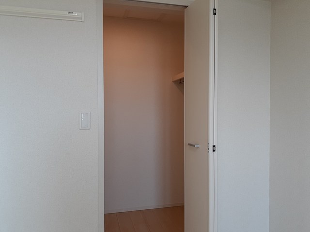 デスパシオ その他2