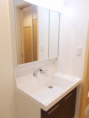 ヴィシュランティ その他3