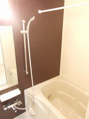 ヴィシュランティ 風呂画像